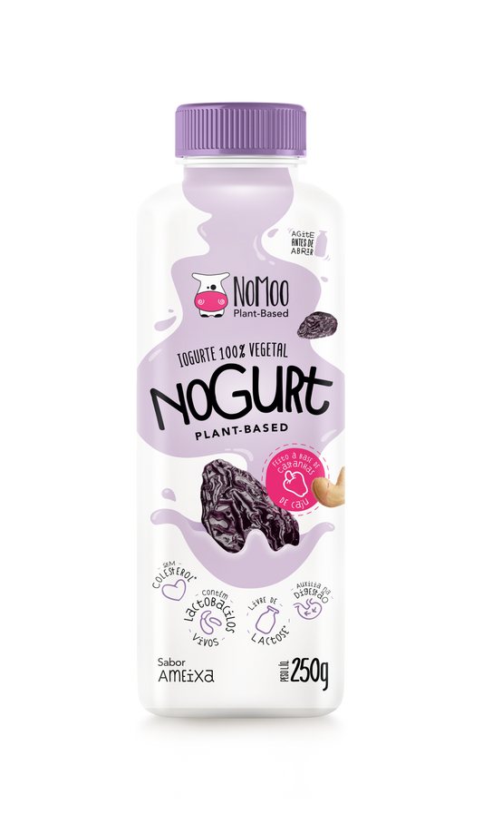 Nogurt Ameixa (250ml)