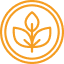 Vegano